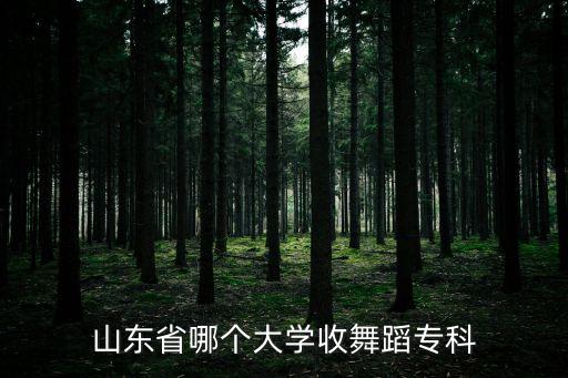 山东国标舞本科专科有哪些统招学校，山东省哪个大学收舞蹈专科