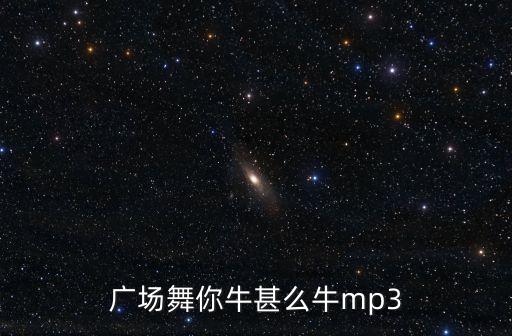 广场舞你牛甚么牛mp3