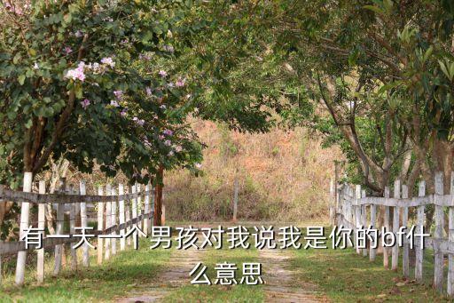 有一天一个男孩对我说我是你的bf什么意思