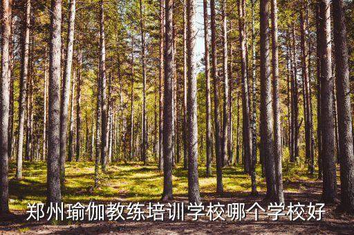 郑州瑜伽教练培训学校哪个学校好