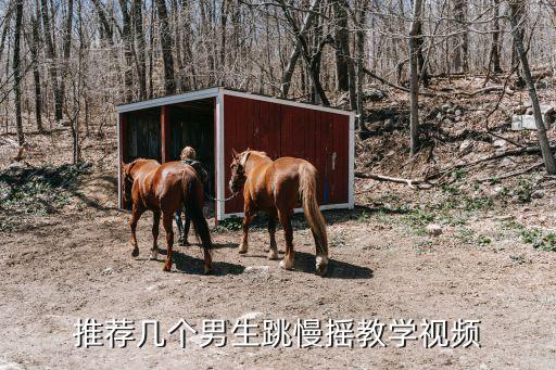 什么摇舞蹈视频教学视频教学视频，求推荐舞蹈教学视频