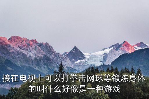 接在电视上可以打拳击网球等锻炼身体的叫什么好像是一种游戏