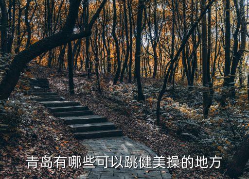 青岛有哪些可以跳健美操的地方