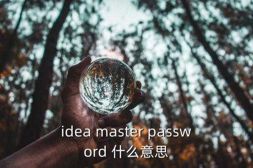 idea master password 什么意思