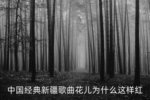 中国经典新疆歌曲花儿为什么这样红