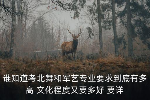 军艺和北舞同时考上 去哪个，谁知道考北舞和军艺专业要求到底有多高 文化程度又要多好 要详