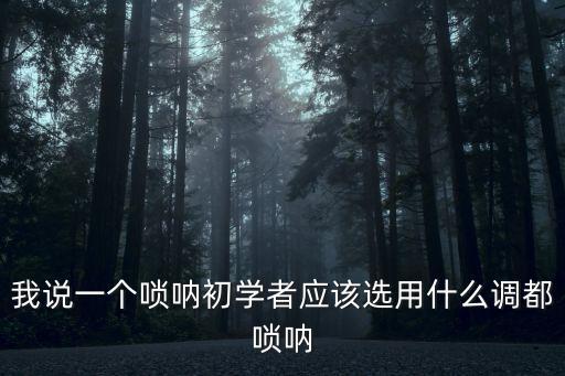 我说一个唢呐初学者应该选用什么调都唢呐