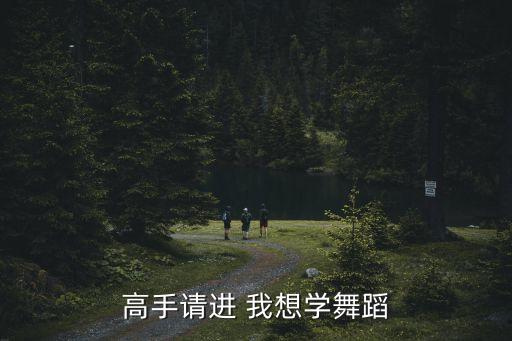 高手请进 我想学舞蹈