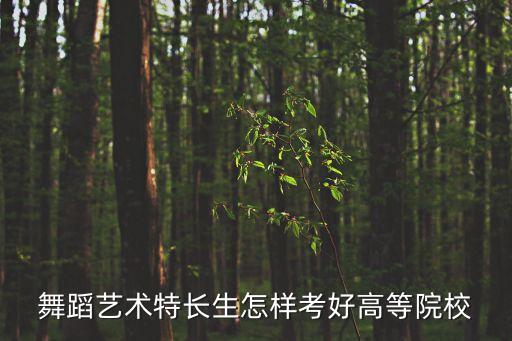 舞蹈艺术特长生怎样考好高等院校