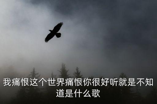 我痛恨这个世界痛恨你很好听就是不知道是什么歌