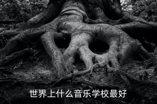 世界上什么音乐学校最好