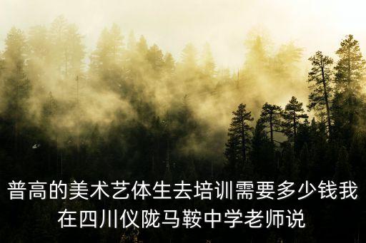 普高的美术艺体生去培训需要多少钱我在四川仪陇马鞍中学老师说