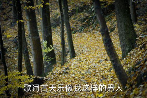 歌词古天乐像我这样的男人