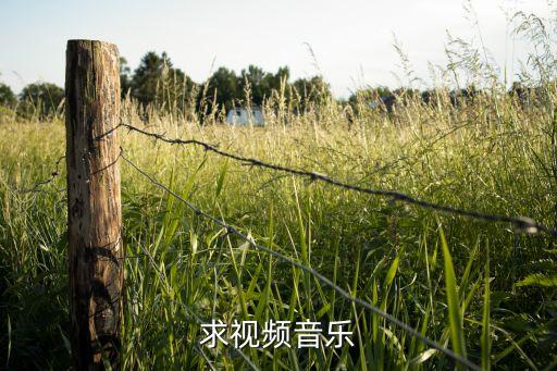2023串烧舞蹈视频，求视频音乐