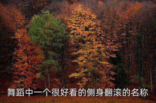 舞蹈中一个很好看的侧身翻滚的名称