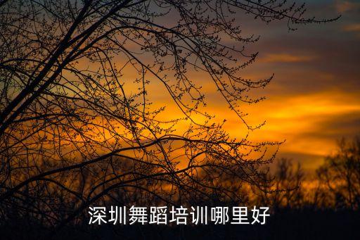 深圳舞蹈培训哪里好