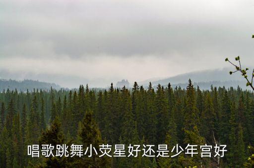 唱歌跳舞小荧星好还是少年宫好