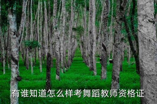 有谁知道怎么样考舞蹈教师资格证