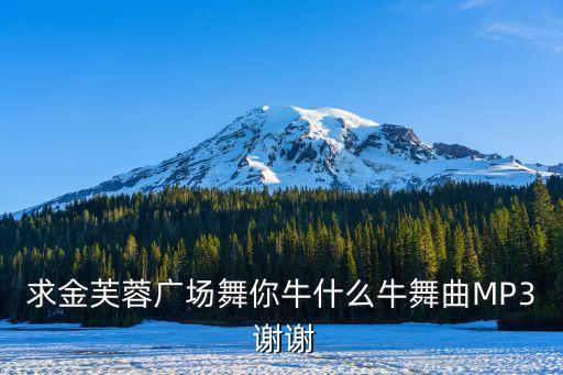 求金芙蓉广场舞你牛什么牛舞曲MP3 谢谢