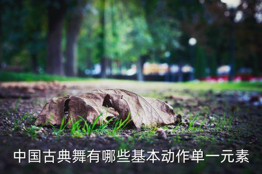 中国古典舞有哪些基本动作单一元素
