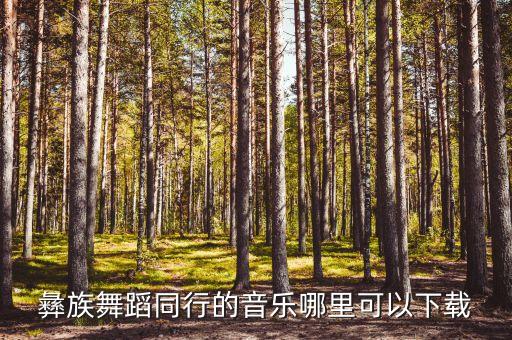 彝族舞蹈同行的音乐哪里可以下载