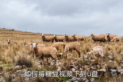 如何将糖豆视频下到u盘