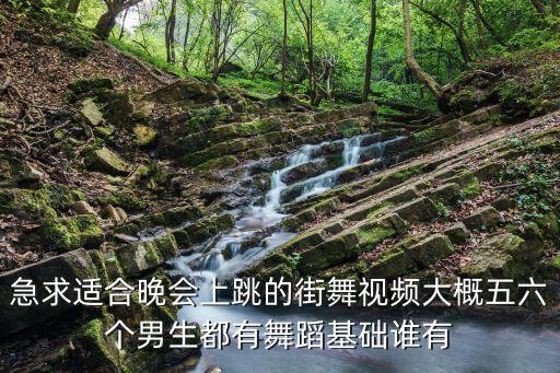有什么在活动上的舞蹈视频，急求适合晚会上跳的街舞视频大概五六个男生都有舞蹈基础谁有