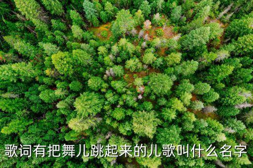 歌词跳起来是什么歌，有一首歌的歌词是 everybody say hi hi baby baby跟着节奏跳起来 这是