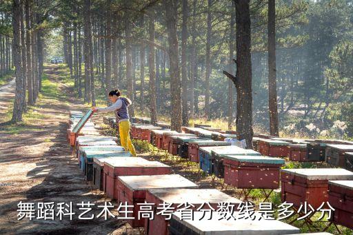 湖北省舞蹈高考分数线，今年湖北省得艺术本科线起多少啊