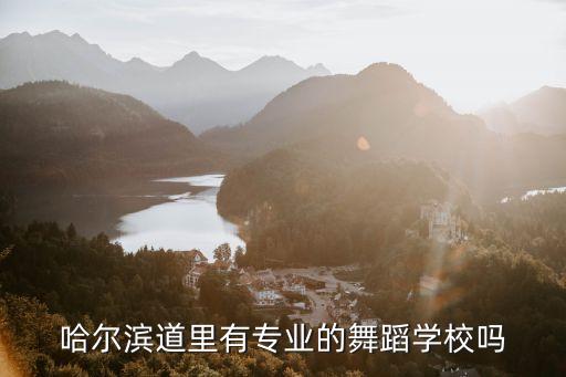 哈尔滨舞蹈学校有哪些，哈尔滨最好的舞蹈学校是什么