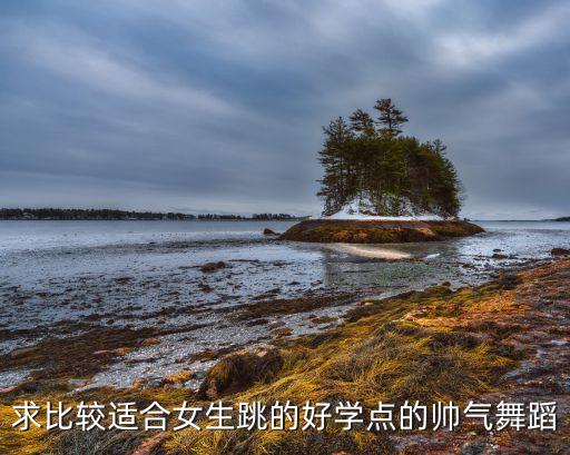 求比较适合女生跳的好学点的帅气舞蹈