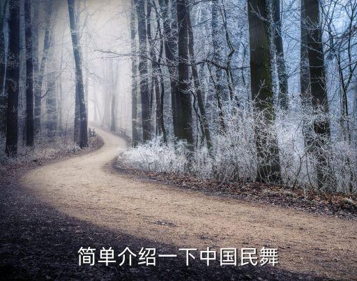 简单的说什么是中国舞，简单介绍一下中国民舞