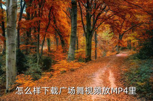 广场舞视频在mp4下载视频怎么下载地址，怎么样下载广场舞视频放MP4里