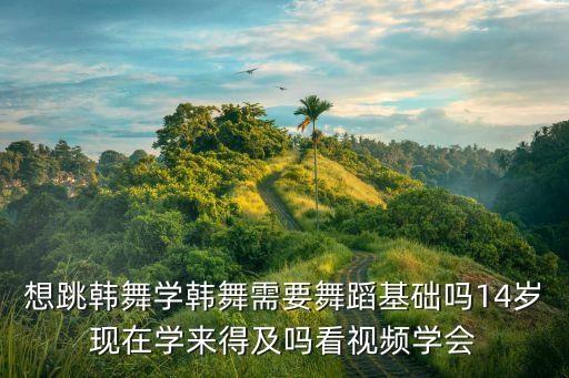 想跳韩舞学韩舞需要舞蹈基础吗14岁现在学来得及吗看视频学会