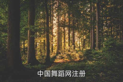 中国舞蹈网注册