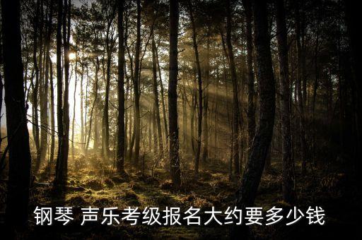 钢琴 声乐考级报名大约要多少钱