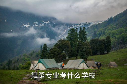 舞蹈专业考什么学校