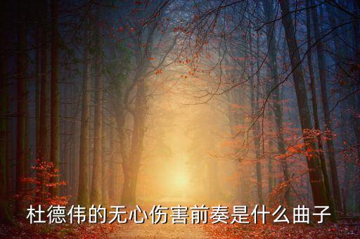 杜德伟的无心伤害前奏是什么曲子