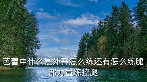 芭蕾中什么是外开怎么练还有怎么练腿部力量练控腿