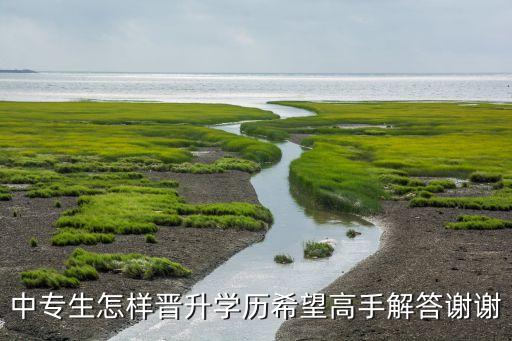 中专生怎样晋升学历希望高手解答谢谢