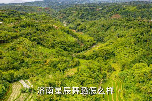 济南少儿舞蹈哪里好，济南哪个儿童舞蹈班好孩子想要学一个这样的班快放寒假了  搜