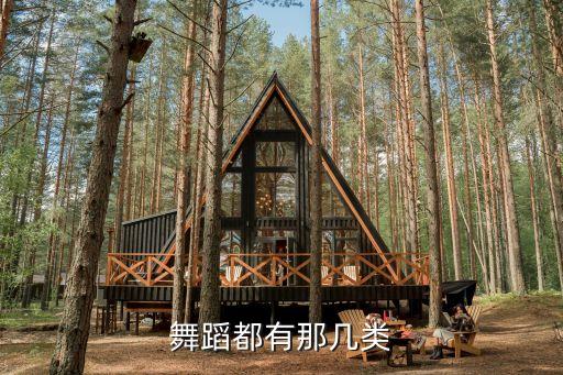 舞蹈都有那几类