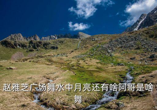 赵雅芝广场舞水中月亮还有啥阿哥是啥舞