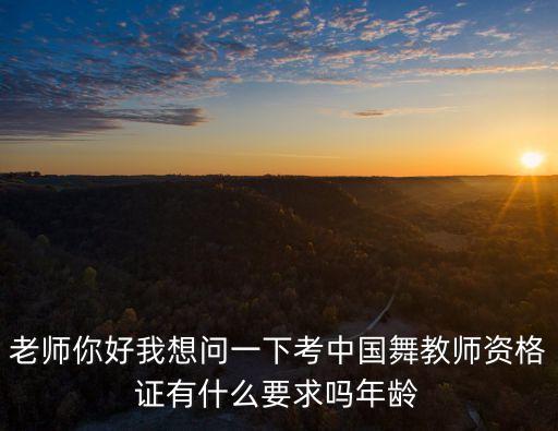 老师你好我想问一下考中国舞教师资格证有什么要求吗年龄