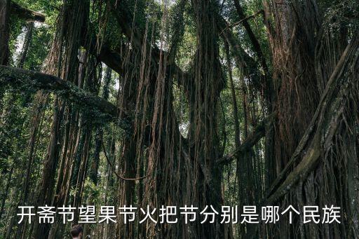 大花轿是哪个民族，开斋节望果节火把节分别是哪个民族