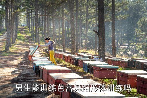 男生能训练芭蕾舞蹈形体训练吗