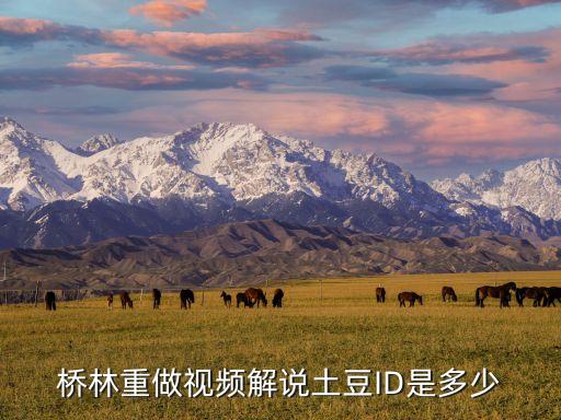 桥林重做视频解说土豆ID是多少