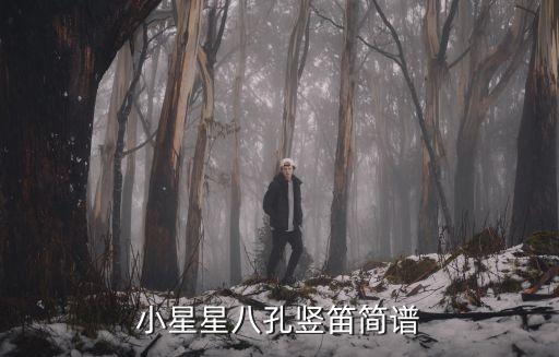 小星星八孔竖笛简谱
