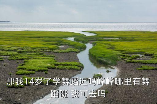 那我14岁了学舞蹈迟吗峰峰哪里有舞蹈班 我可去吗