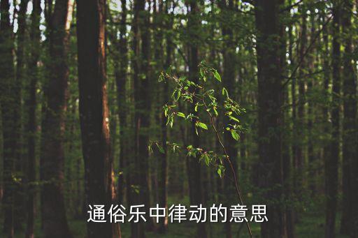 通俗乐中律动的意思